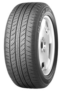 Dunlop Grandtrek PT2A