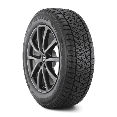 Bridgestone Blizzak DM-V2